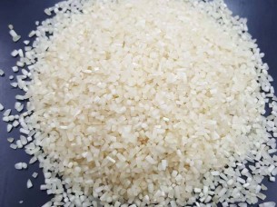 Round Rice 25% Broken Rice Best Quality..